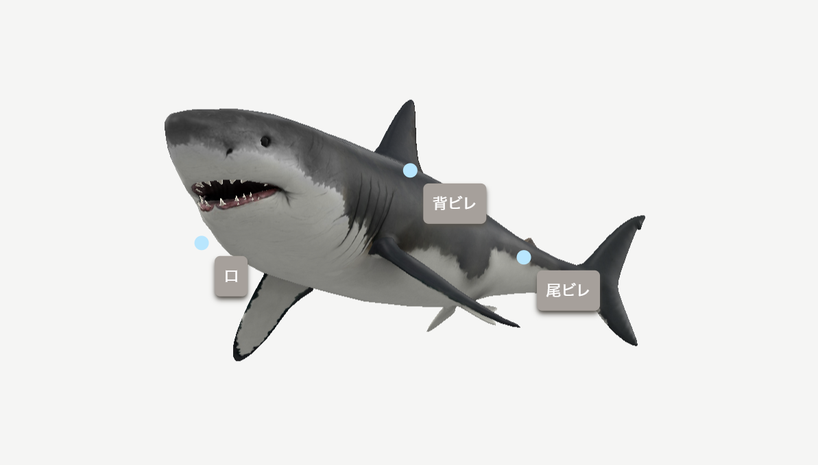 3D魚図鑑 ver.2.0